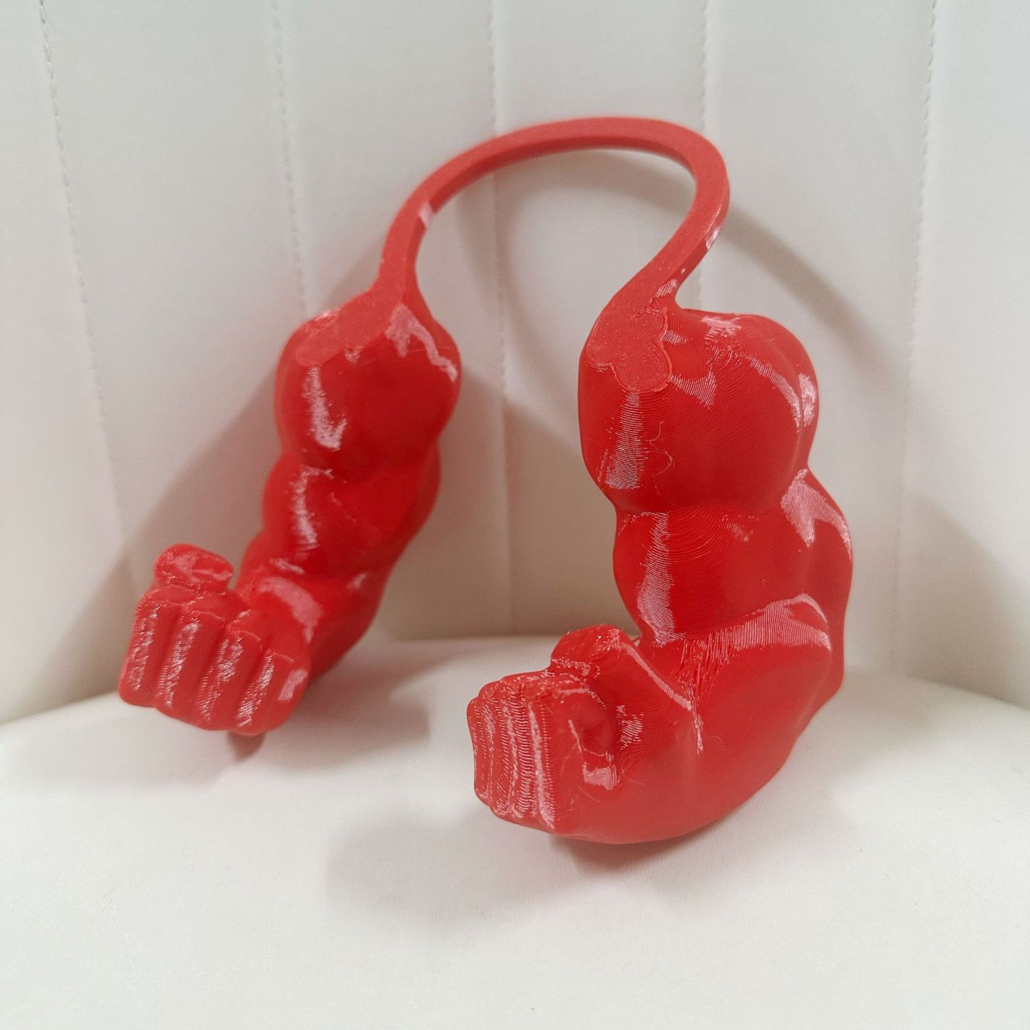 3Dプリントされた面白いペットの筋肉腕首アクセサリー猫と犬用 - 