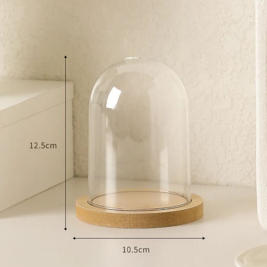 Clear Dustproof Display Box for Mini Figures