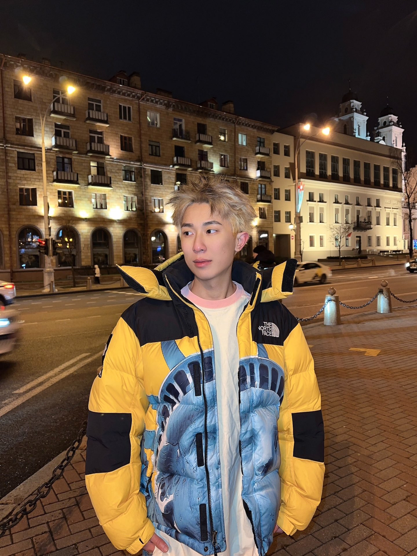 【希少】Supreme®/The North Face® Statue of Liberty Baltoro Jacket-Nanamallモール