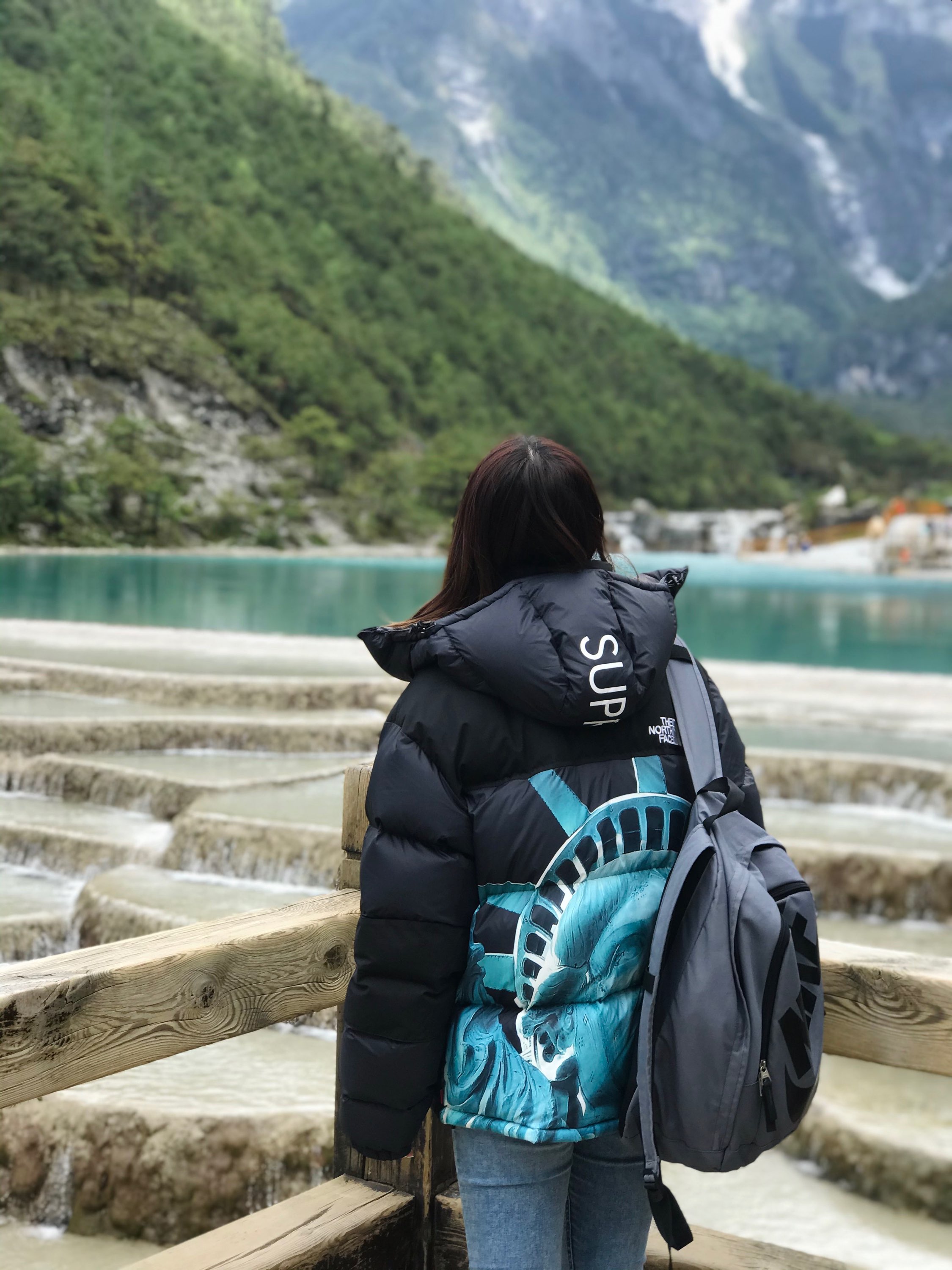 【希少】Supreme®/The North Face® Statue of Liberty Baltoro Jacket-Nanamallモール