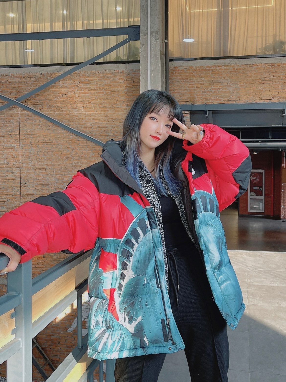 【希少】Supreme®/The North Face® Statue of Liberty Baltoro Jacket-Nanamallモール