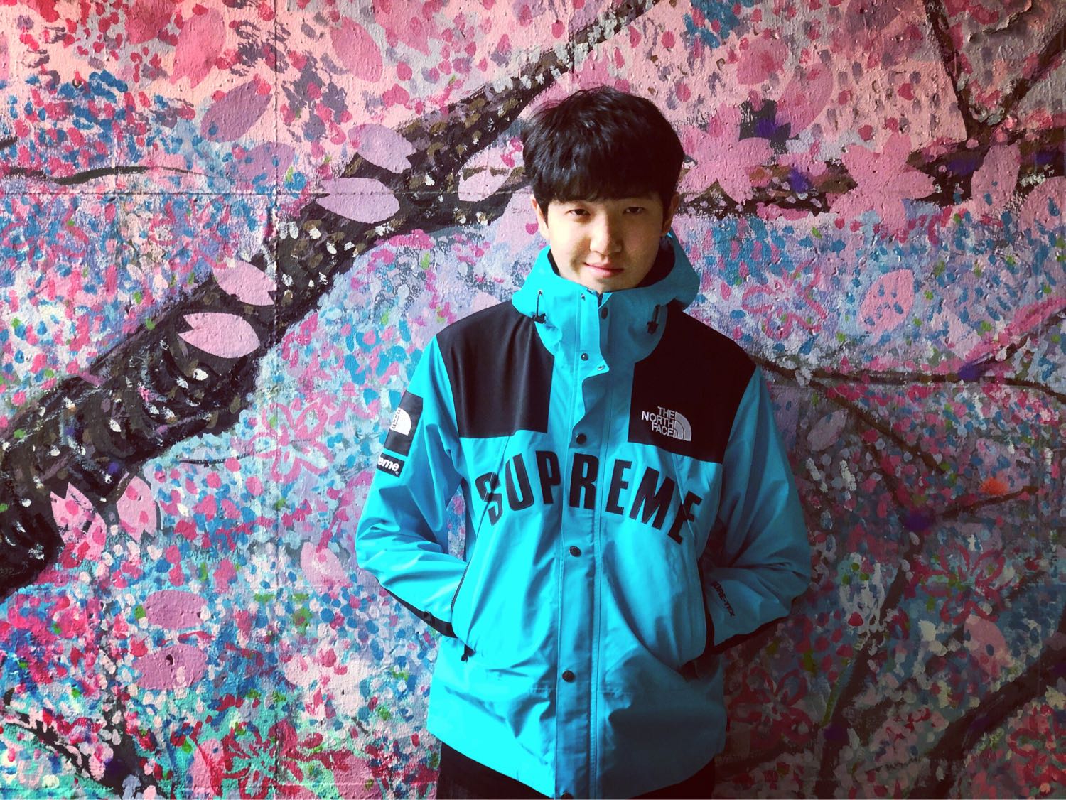 Supreme®/The North Face® Arc Logo Mountain Parka-Nanamallモール