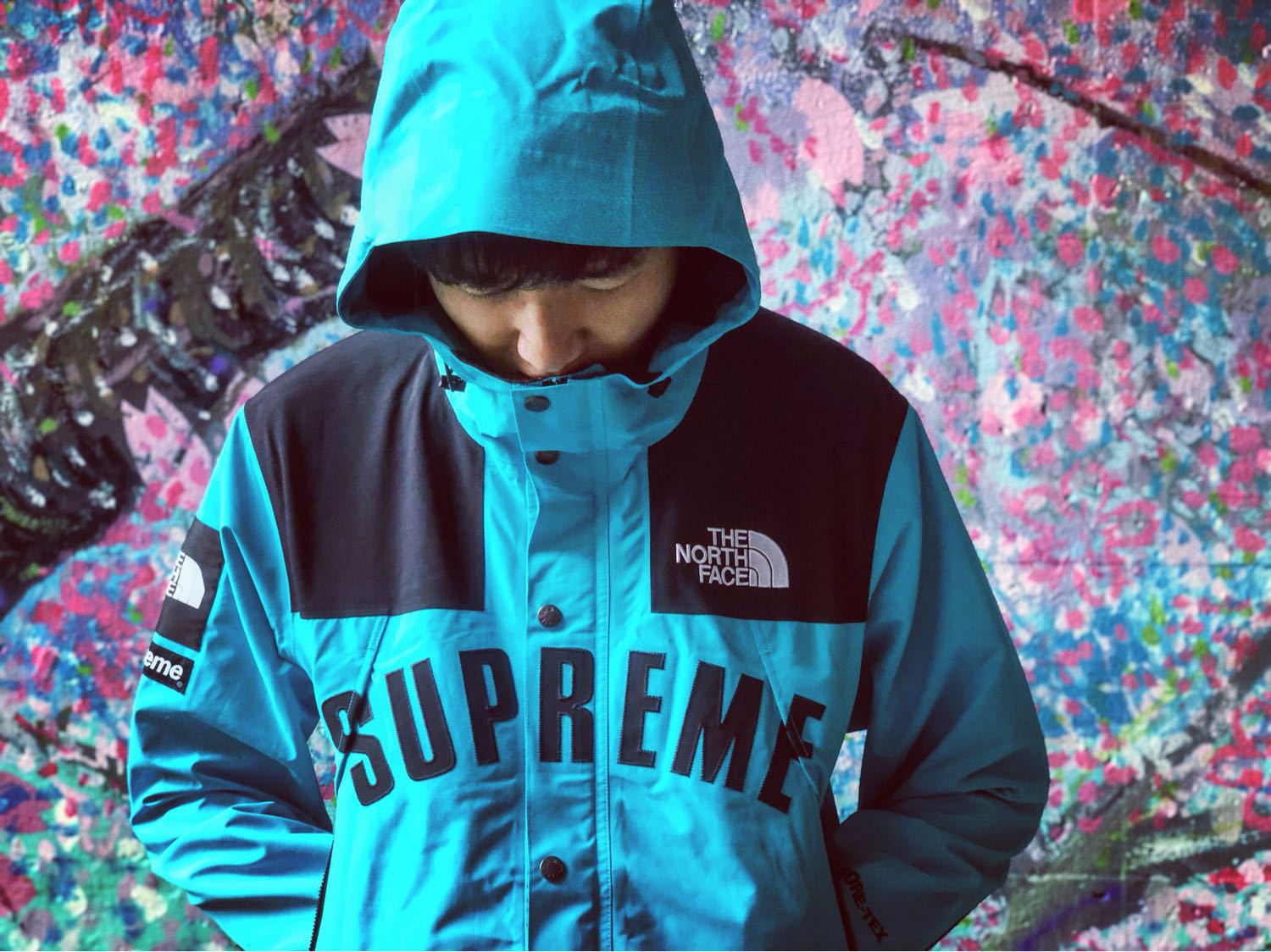 Supreme®/The North Face® Arc Logo Mountain Parka-Nanamallモール
