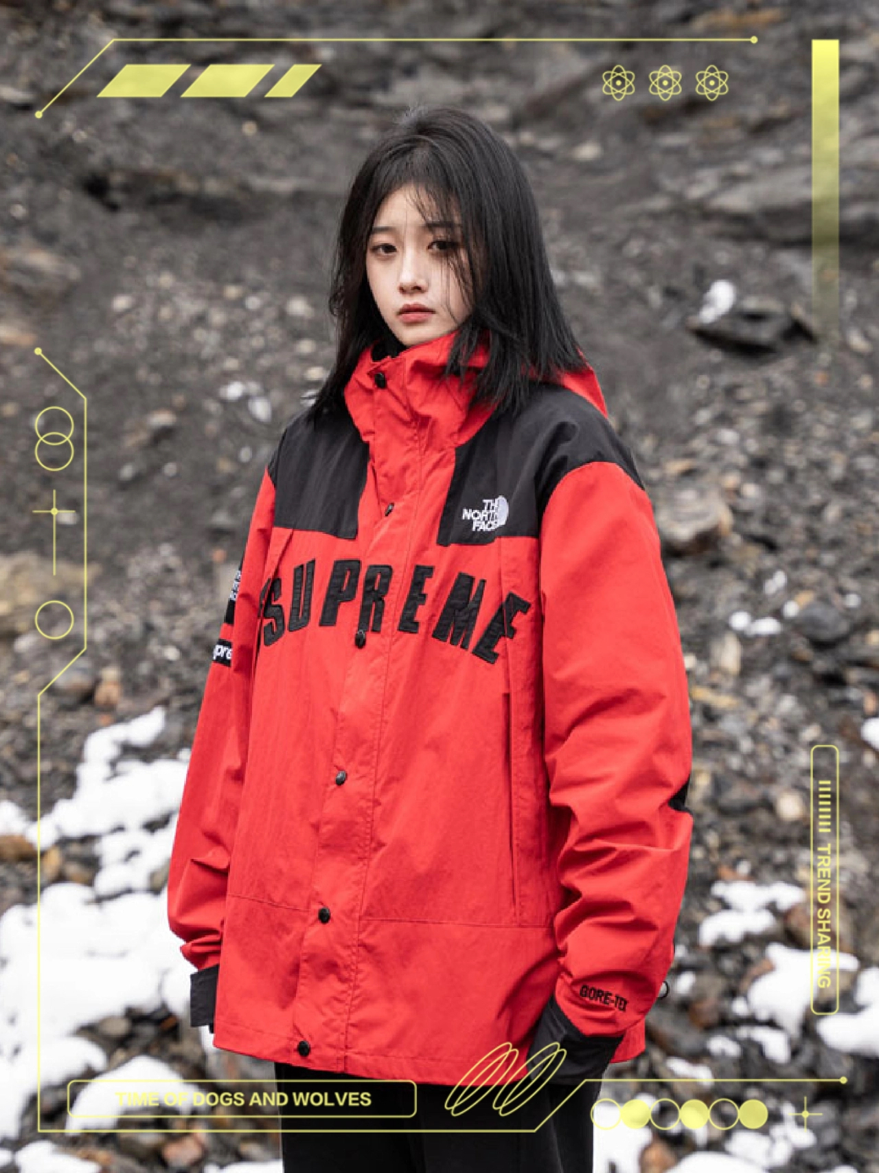 Supreme®/The North Face® Arc Logo Mountain Parka-Nanamallモール