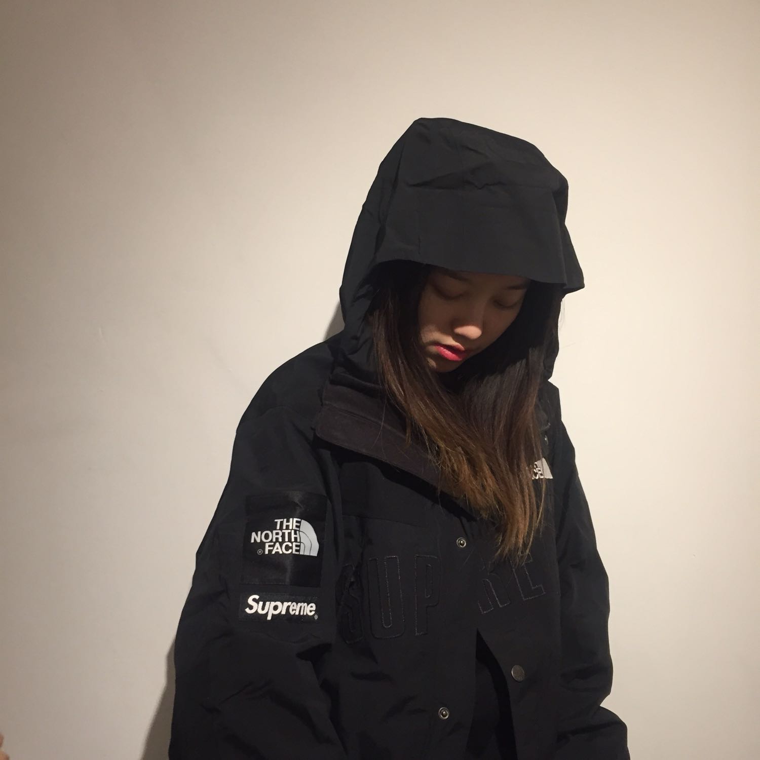 Supreme®/The North Face® Arc Logo Mountain Parka-Nanamallモール