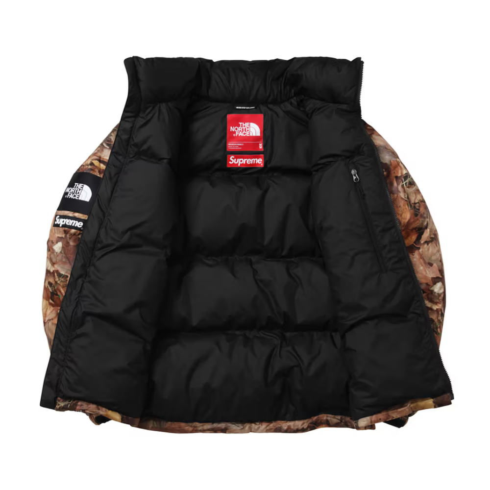 Supreme x The North Face 2016 Fall/Winter Nuptse Jacket-Nanamallモール