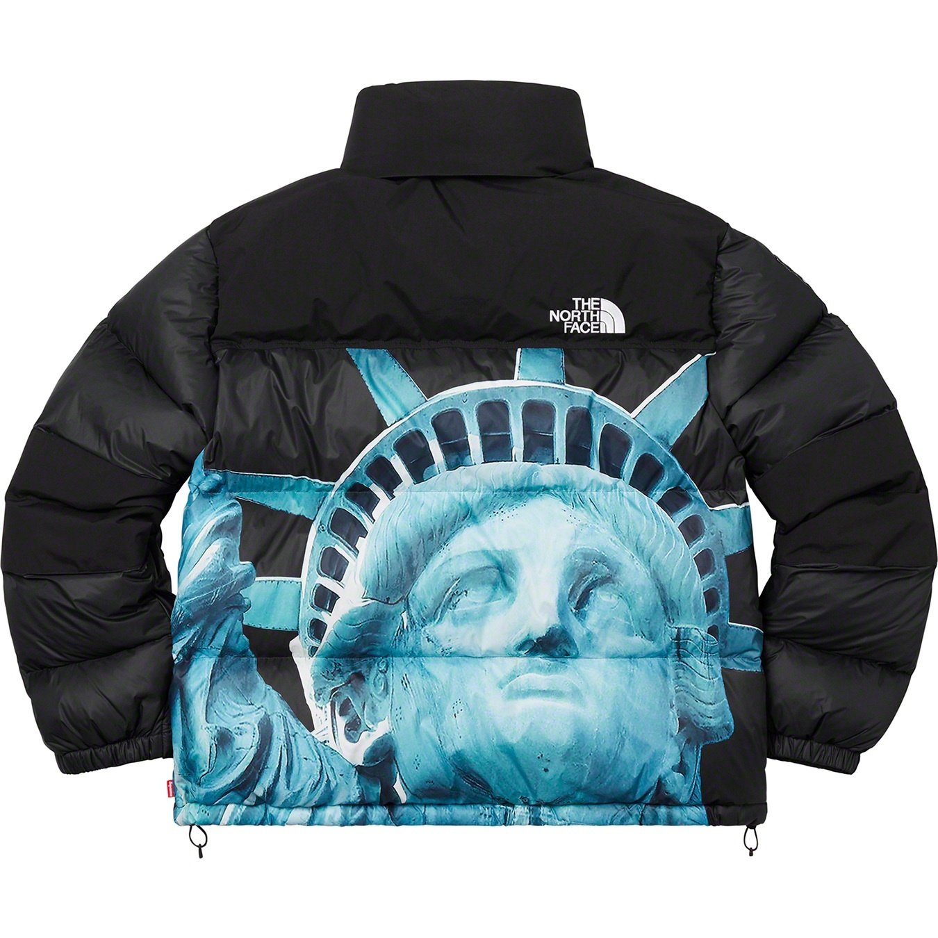 【希少】Supreme®/The North Face® Statue of Liberty Baltoro Jacket-Nanamallモール