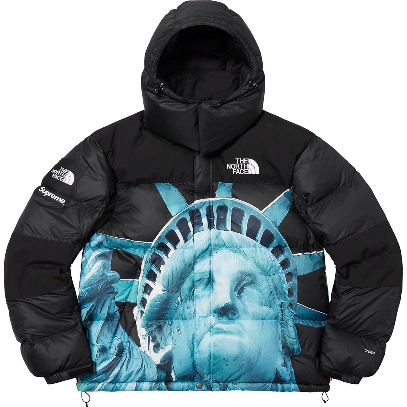 【希少】Supreme®/The North Face® Statue of Liberty Baltoro Jacket-Nanamallモール
