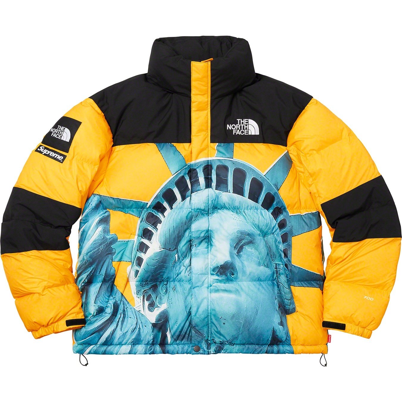 【希少】Supreme®/The North Face® Statue of Liberty Baltoro Jacket-Nanamallモール