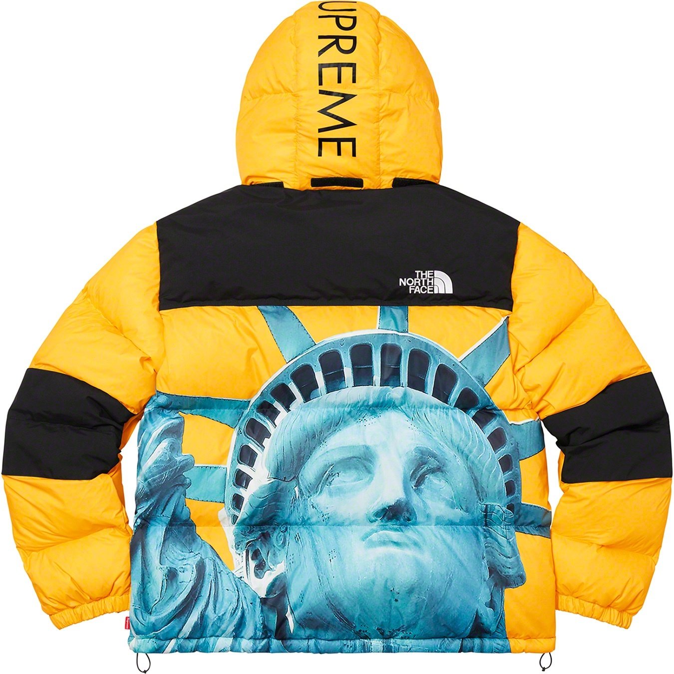 【希少】Supreme®/The North Face® Statue of Liberty Baltoro Jacket-Nanamallモール