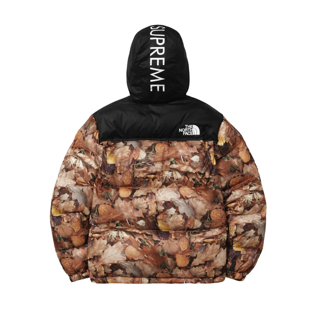 Supreme x The North Face 2016 Fall/Winter Nuptse Jacket-Nanamallモール