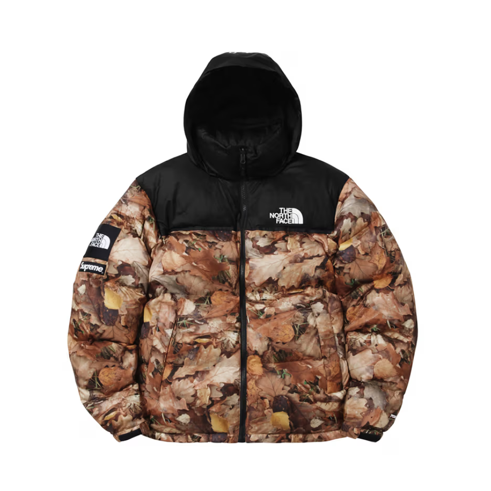Supreme x The North Face 2016 Fall/Winter Nuptse Jacket-Nanamallモール