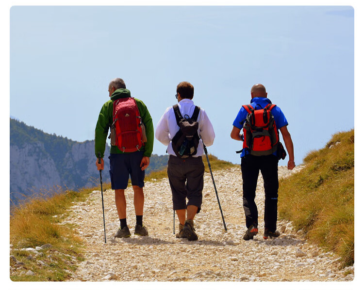 ไม้เท้าปีนเขาโลหะผสมอลูมิเนียมกันลื่นลดแรงกระแทกแบบยืดหดได้