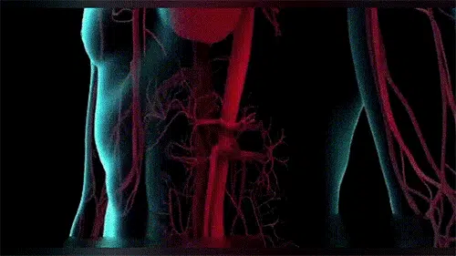 翻译_08.webp