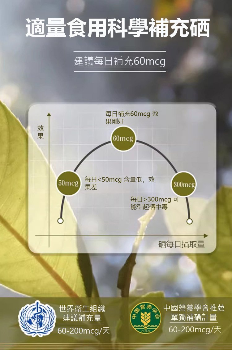 翻译_08.jpg