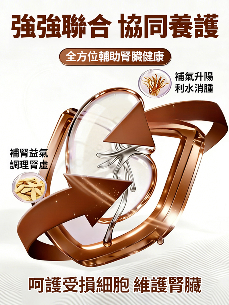 參杞雄精五鞭片