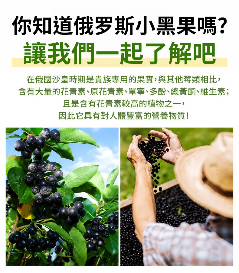 翻译件-SL-【胰岛之王】俄罗斯野生小黑果-1360194-系统_05.jpg
