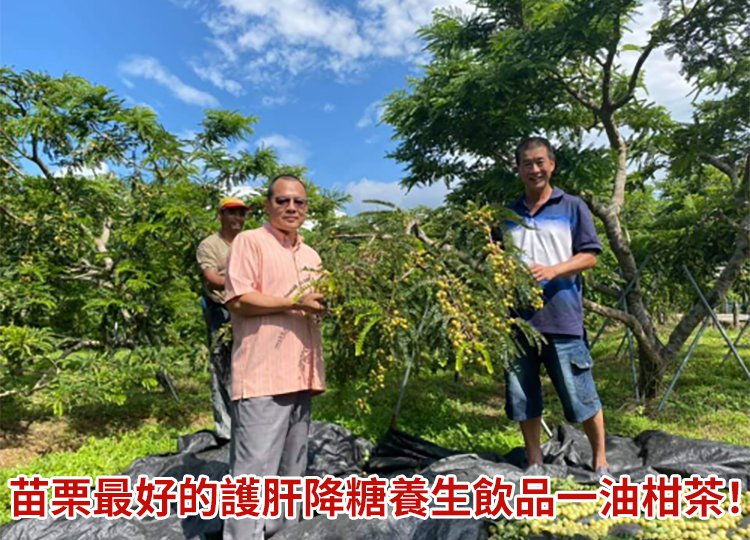 未标题-3.jpg