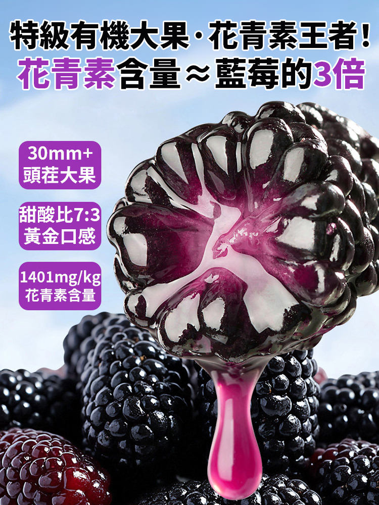 【花青素炸彈】0添加黑桑椹幹