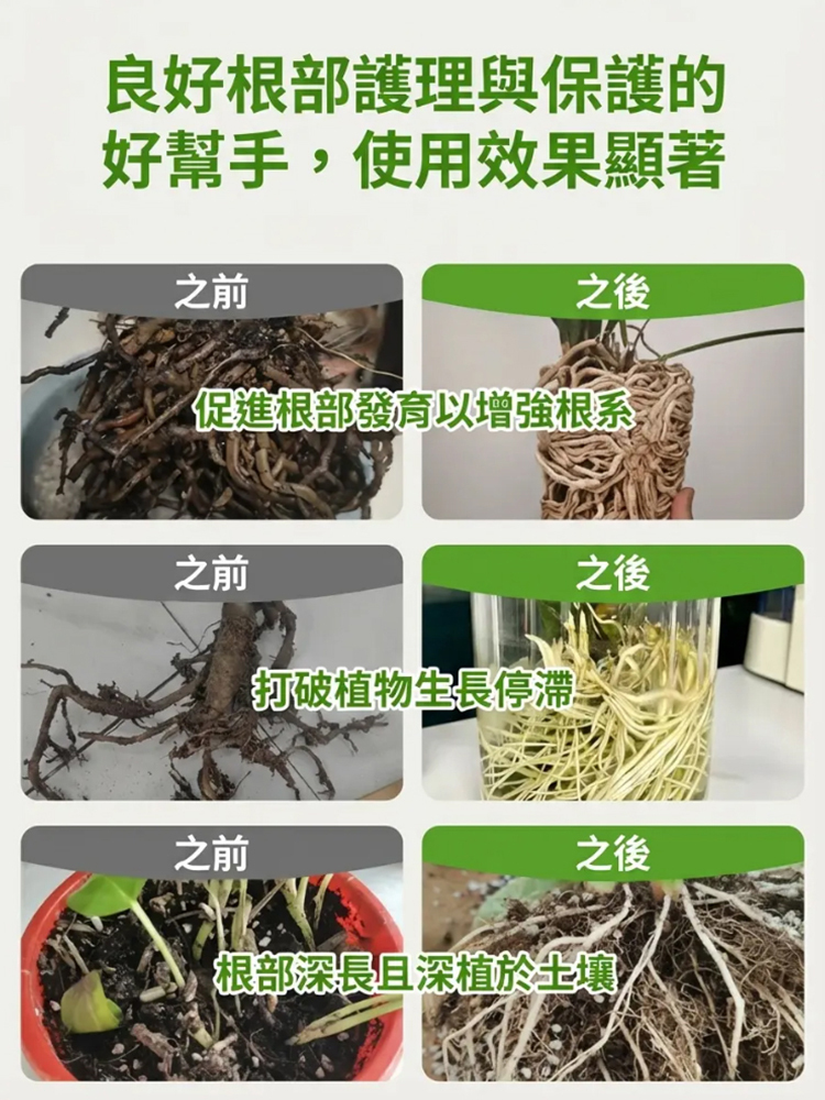 【死了也能活】土壤營養活化劑