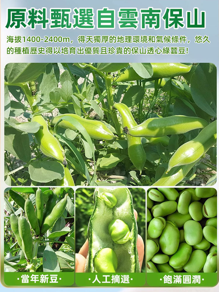 雲南綠心翡翠蠶豆