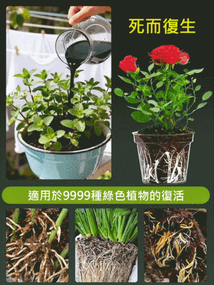 【死了也能活】土壤營養活化劑