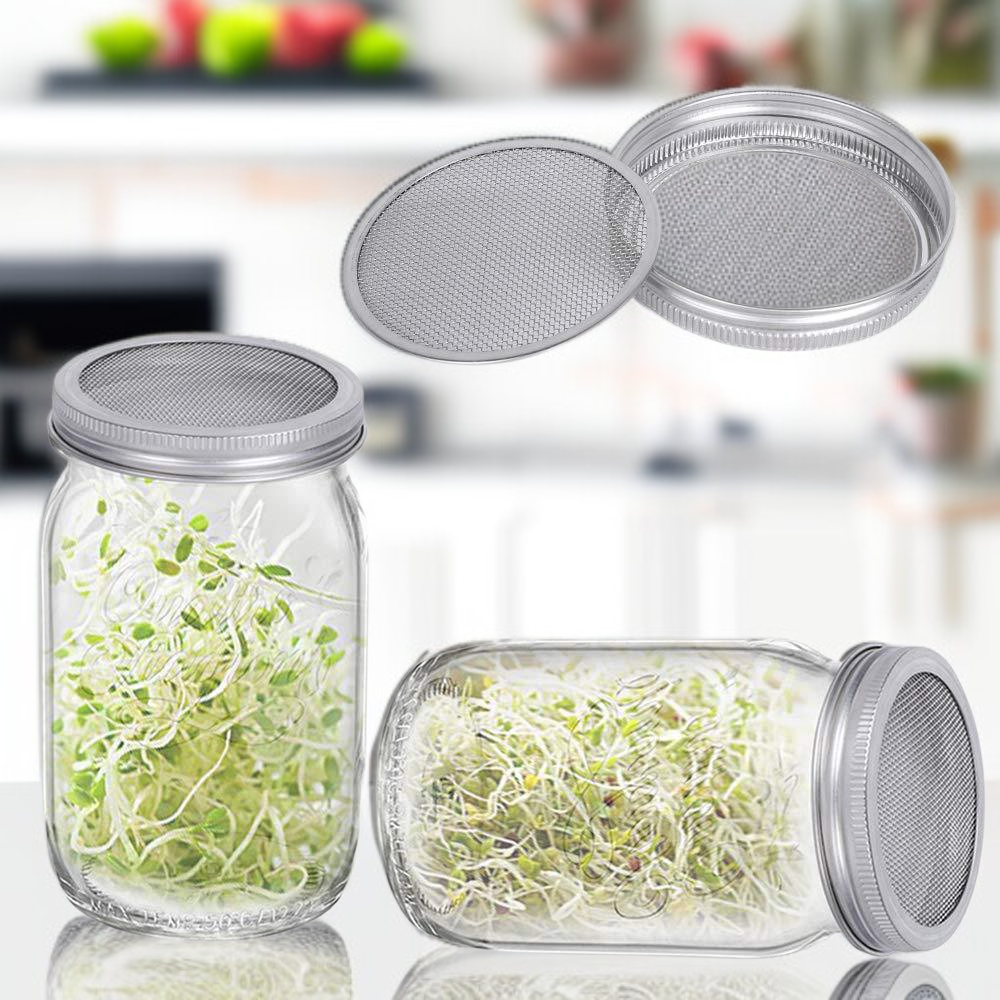 식물 성장 관찰 가능한 투명 유리병