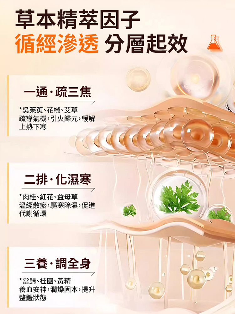吳茱萸肉桂足底穴位貼