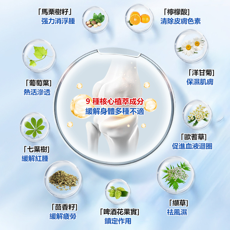 德國馬膏筋骨冷敷凝膠