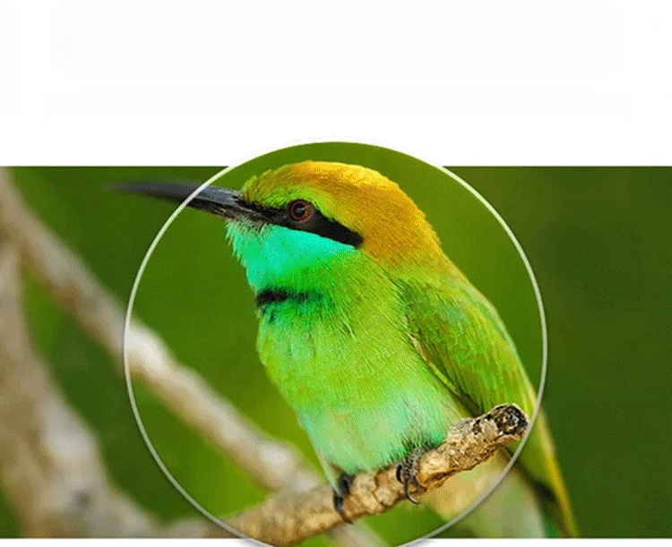 1秒自動對焦，5倍清晰視野！由經驗豐富的專家歷時三年研發，經過百餘次測試和調整！ 5倍放大，每個細節都清晰可見