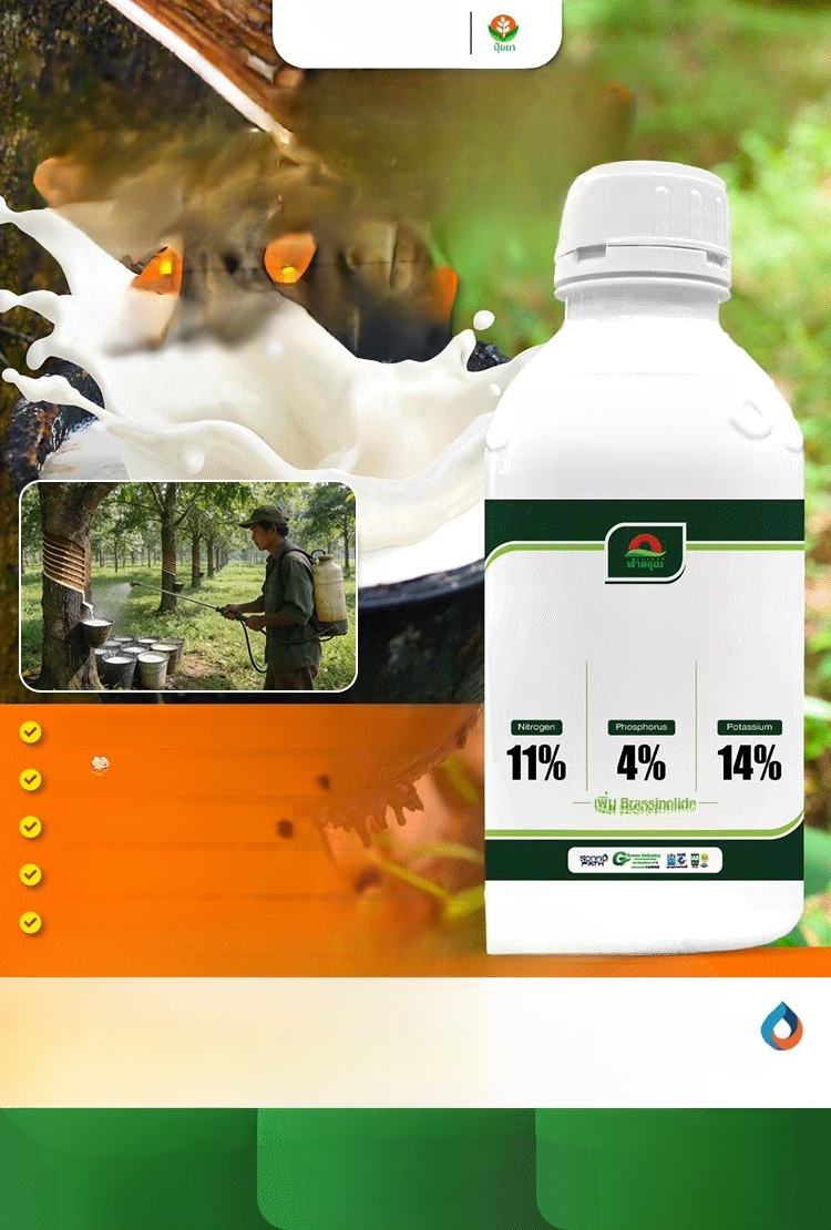 📣☘️ต้นยางแตกใบช้า น้ำยางไหลน้อย อย่าทิ้งปัญหาไว้นานแก้ด้วยปุ๋ยน้ำสูตรนี้เลย กดสั่งซื้อที่ตะกร้าก่อนของหมด