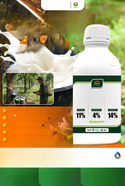 📣☘️ต้นยางแตกใบช้า น้ำยางไหลน้อย อย่าทิ้งปัญหาไว้นานแก้ด้วยปุ๋ยน้ำสูตรนี้เลย กดสั่งซื้อที่ตะกร้าก่อนของหมด