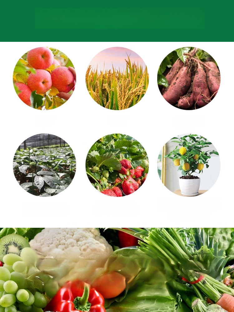 🌾 ใบพืชเหลือง ส้ม หรือไม่มีความเงางาม? ใช้สิ่งนี้เลย การเติมแมกนีเซียมอย่างรวดเร็ว ใบไม้กลับมาเขียวชอุ่ม ส่งเสริมการสังเคราะห์แสง