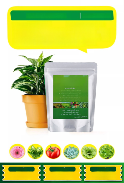🌾 เพิ่มผลผลิตพืชผลของคุณเป็นสามเท่า! 💰ซื้อ 1 แถม 10 ด้วยแมกนีเซียมซัลเฟตประสิทธิภาพสูง