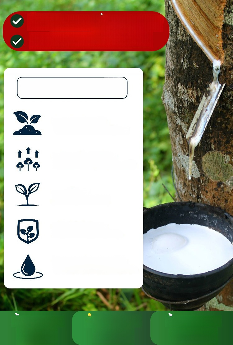 📣☘️ต้นยางแตกใบช้า น้ำยางไหลน้อย อย่าทิ้งปัญหาไว้นานแก้ด้วยปุ๋ยน้ำสูตรนี้เลย กดสั่งซื้อที่ตะกร้าก่อนของหมด