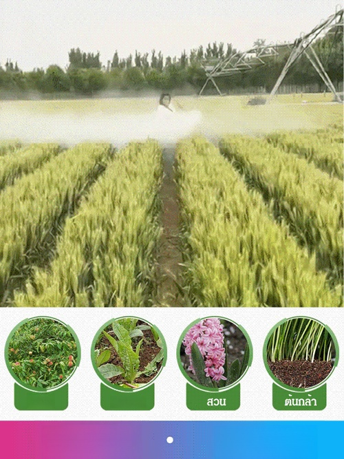 [รุ่นยาว 3.6 เมตร] ก้านต่อเครื่องฉีดน้ำสเตนเลสแบบยืดหดได้ 🌟  แท่งสแตนเลสยืดหดได้ ไม่ต้องกลัวหัก! 🔥 แข็งแรง ทนทาน ใช้งานง่าย สุดๆ!  🌊 ขยายได้ตามใจคุณ ใช้ได้ทุกที่ ทุกเวลา! 