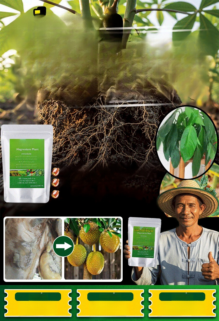 🌾 เพิ่มผลผลิตพืชผลของคุณเป็นสามเท่า! 💰ซื้อ 1 แถม 10 ด้วยแมกนีเซียมซัลเฟตประสิทธิภาพสูง