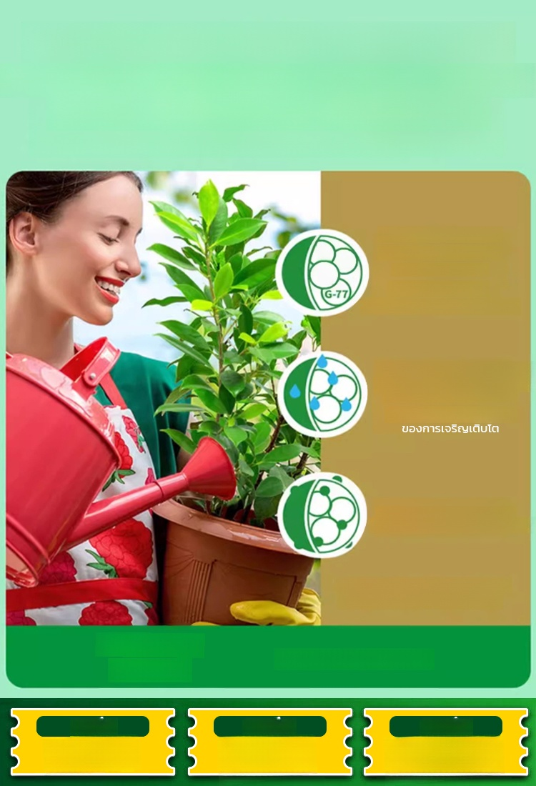 🌾 เพิ่มผลผลิตพืชผลของคุณเป็นสามเท่า! 💰ซื้อ 1 แถม 10 ด้วยแมกนีเซียมซัลเฟตประสิทธิภาพสูง