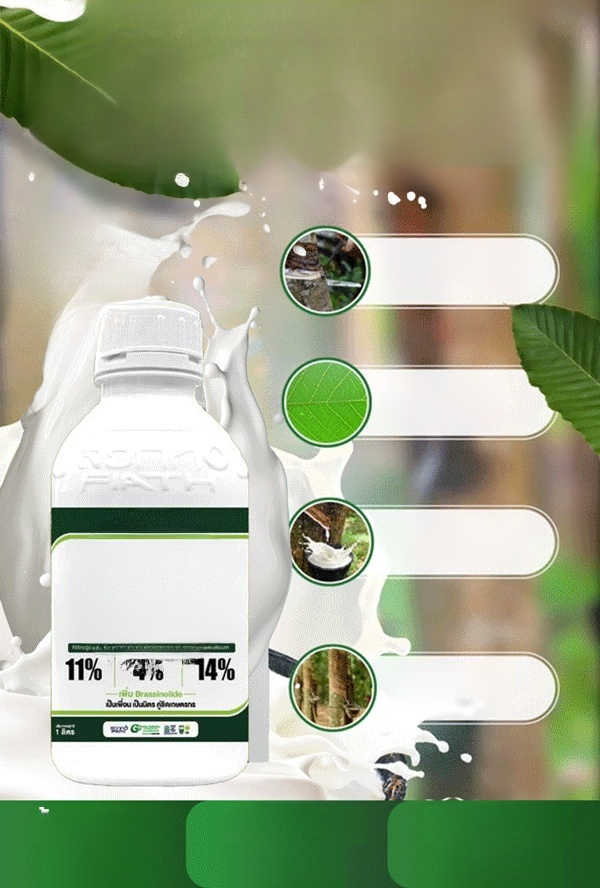 📣☘️ต้นยางแตกใบช้า น้ำยางไหลน้อย อย่าทิ้งปัญหาไว้นานแก้ด้วยปุ๋ยน้ำสูตรนี้เลย กดสั่งซื้อที่ตะกร้าก่อนของหมด