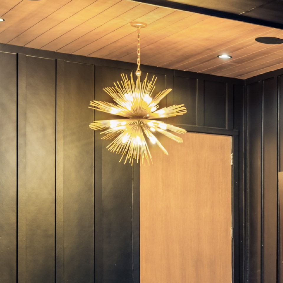 Chandelier/Pendant For Surface Mounted (Outdoor)