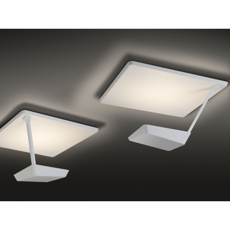 ACE Ceiling Light
