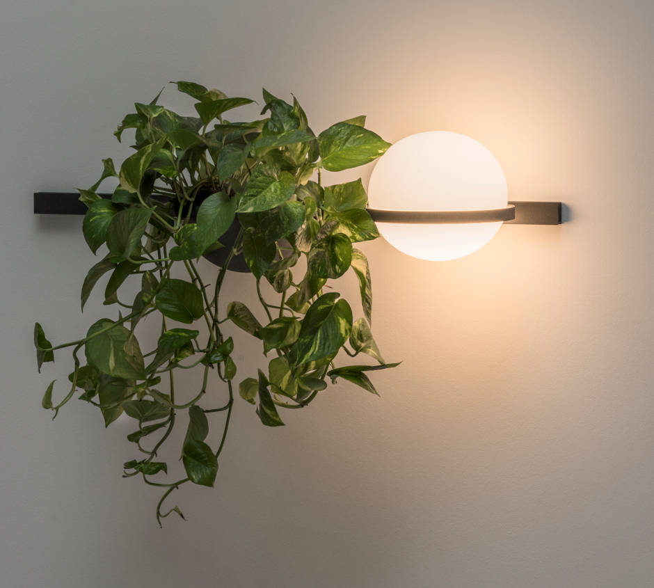 PALMA Wall Light