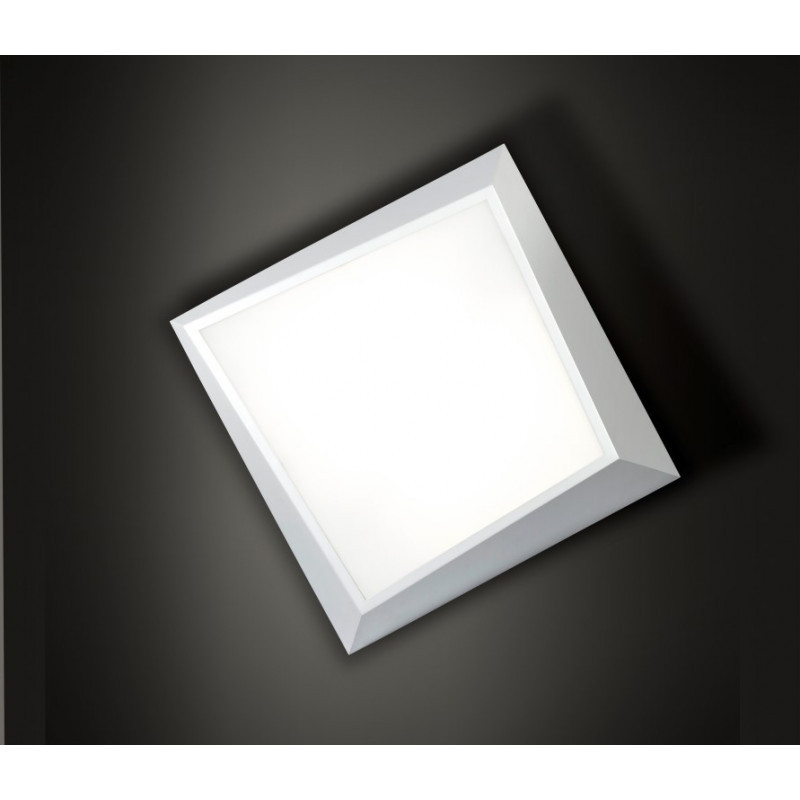 ACE Ceiling Light