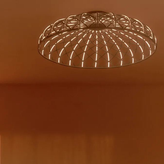 Skynest C