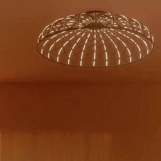 Skynest C