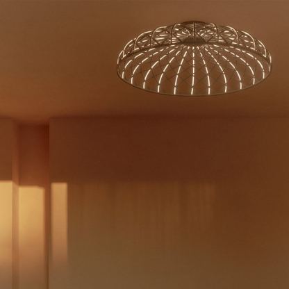 Skynest C