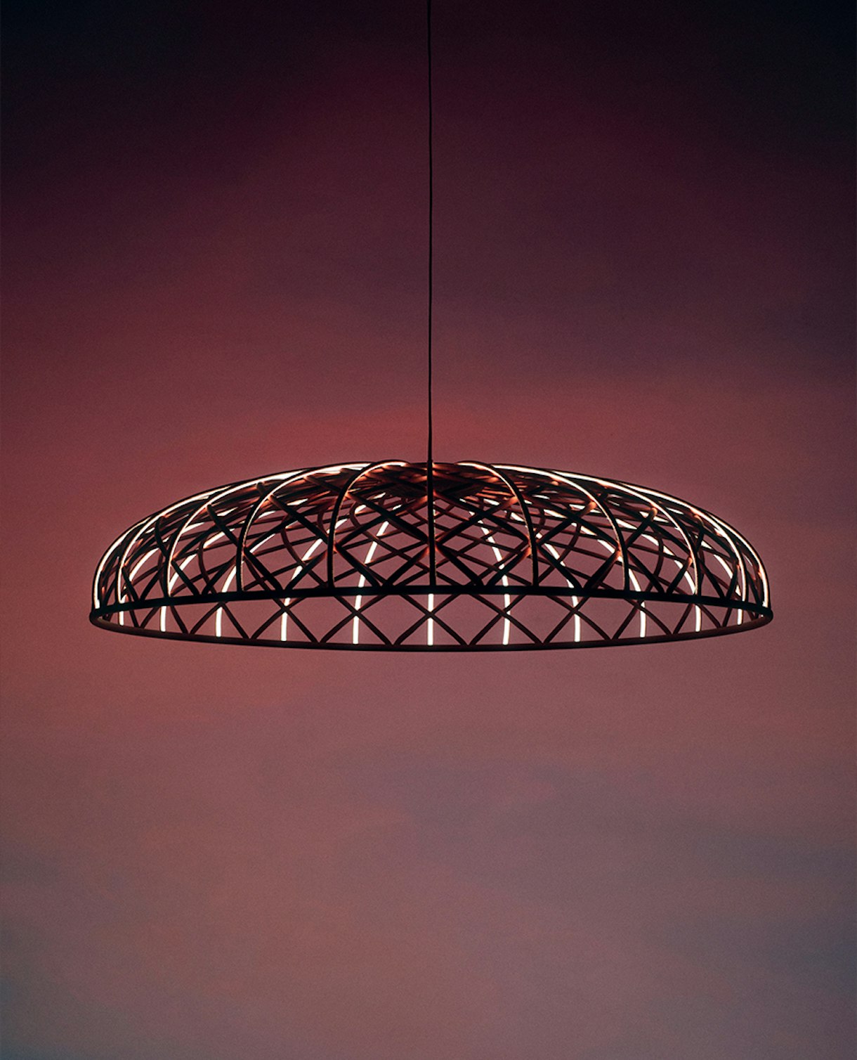 Skynest Suspension