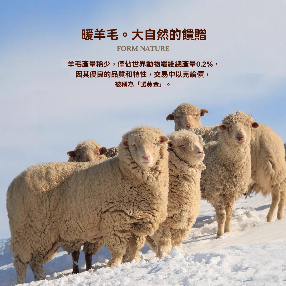 輕商務加絨羊毛一體半高領毛衣