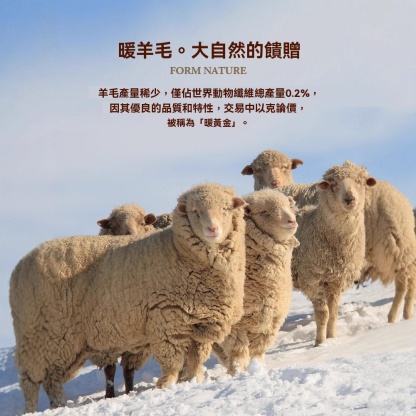 輕商務加絨羊毛一體半高領毛衣