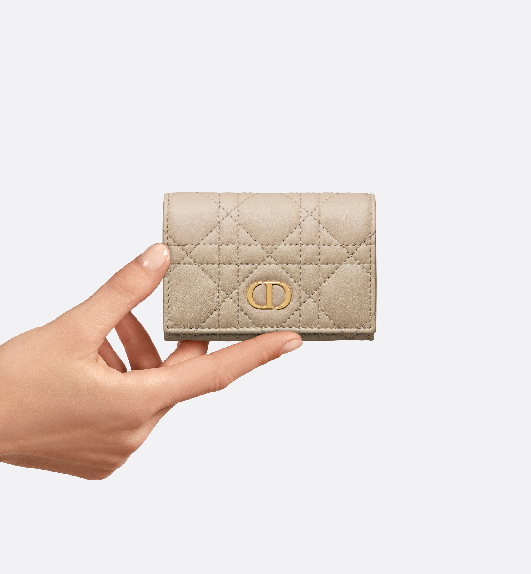 Dior Caro Glycine ウォレット